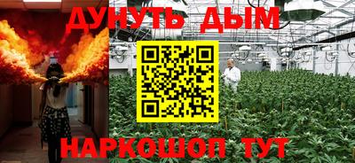 прущие грибы Краснодар